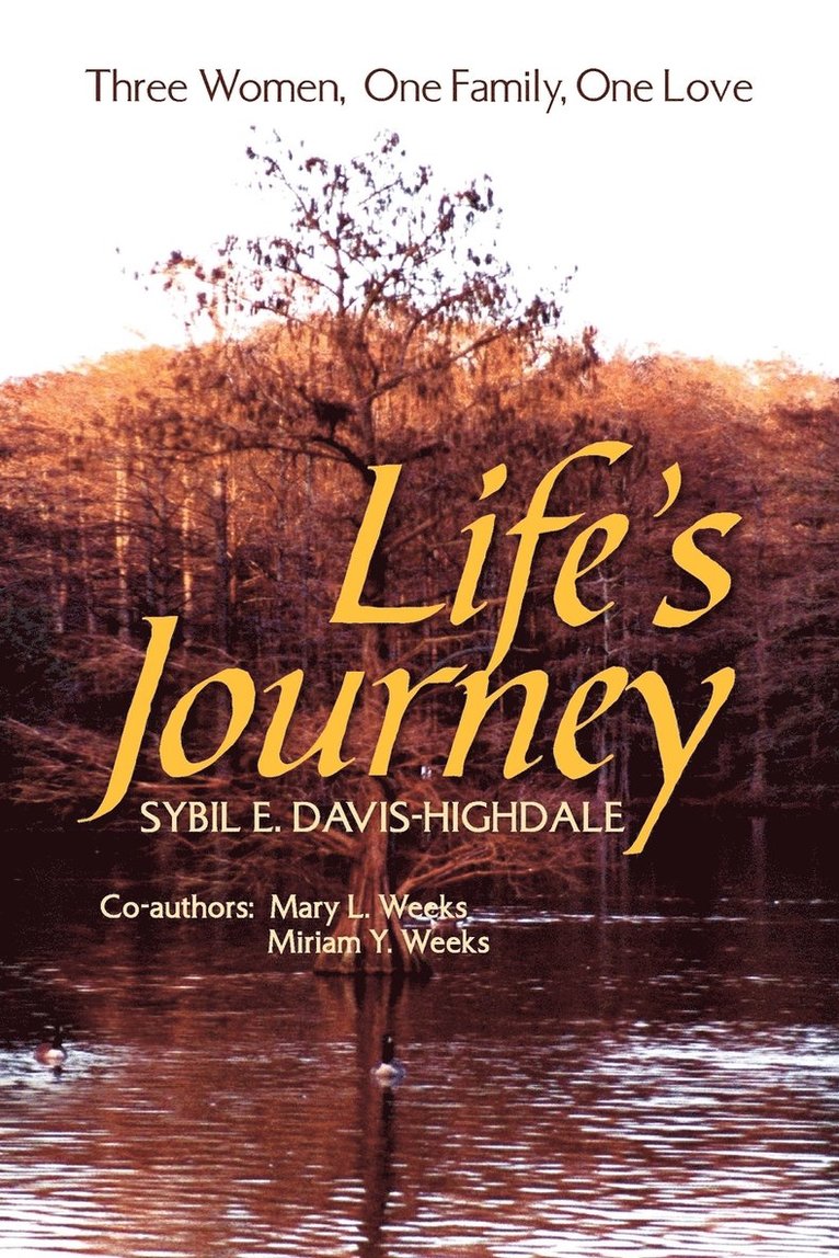 Life's Journey 1