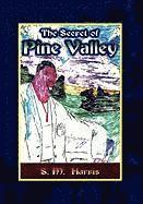 bokomslag The Secret of Pine Valley