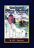 Stephen Harris - Secret of Pine Valley, Inbunden