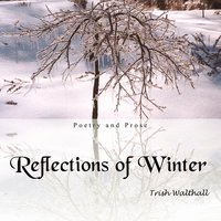 bokomslag Reflections of Winter