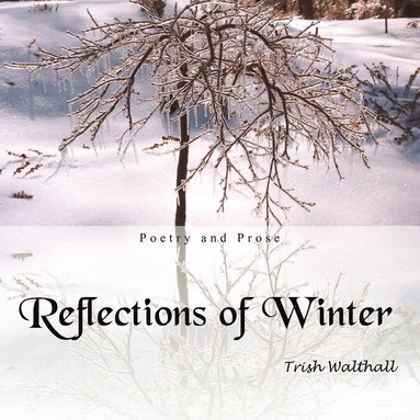 bokomslag Reflections of Winter