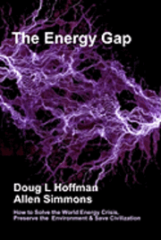 bokomslag The Energy Gap