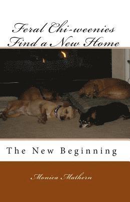 Feral Chi-weenies Find a New Home: The New Beginning 1