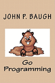 bokomslag Go Programming