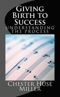 bokomslag Giving Birth to Success: The 9 Stages to Abundant Life