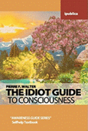 bokomslag The Idiot Guide to Consciousness: Awareness Guide by Pierre F. Walter