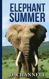 bokomslag Elephant Summer