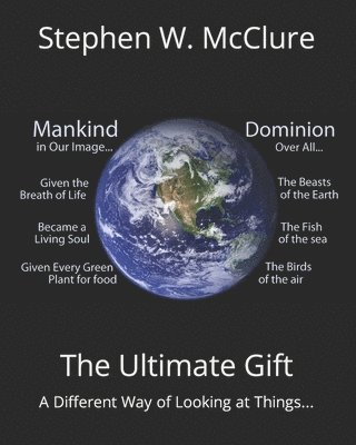 bokomslag Ultimate Gift