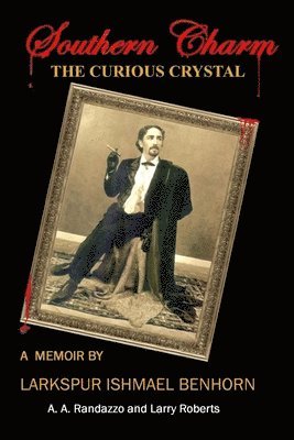 The Curious Crystal: A memoir by Larkspur Ishmael Benhorn