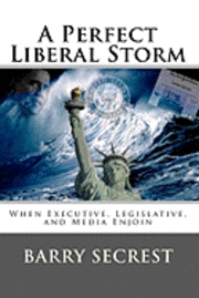 bokomslag A Perfect Liberal Storm: When Executive, Legislative, and Media Enjoin