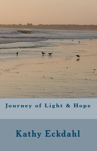 bokomslag Journey of Light & Hope