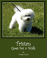 bokomslag Tristan Goes for a Walk: A Tristan and Trudee Story