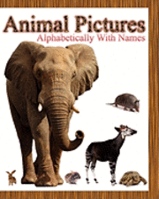 bokomslag Animal Pictures Alphabetically with Names