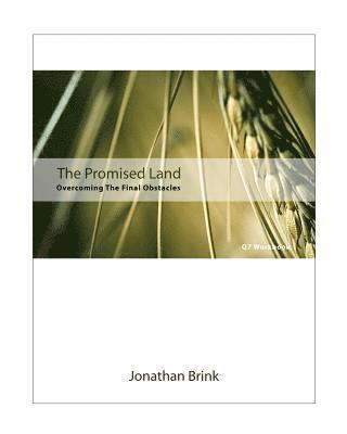 bokomslag The Promised Land: Overcoming The Final Obstacles