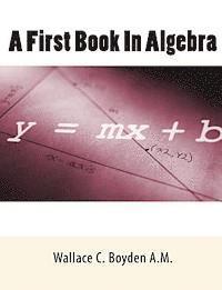 bokomslag A First Book In Algebra