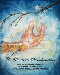 bokomslag The Illustrated Frankenstein