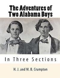 bokomslag The Adventures of Two Alabama Boys: In Three Sections