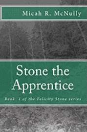 bokomslag Stone the Apprentice: Book 1 of the Felicity Stone series