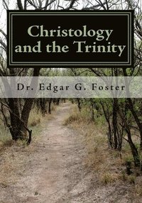 bokomslag Christology and the Trinity: An Exploration