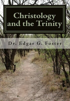 bokomslag Christology and the Trinity: An Exploration