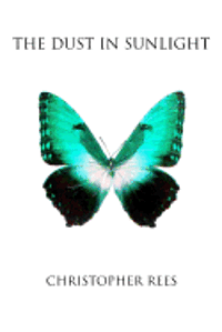 Christopher Rees - Dust in Sunlight, Häftad