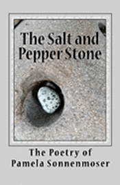 bokomslag The Salt and Pepper Stone: Snapshots of Life's Journey