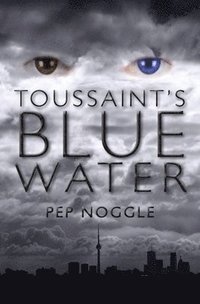 bokomslag Toussaint's Blue Water