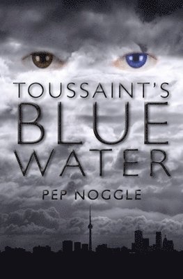 bokomslag Toussaint's Blue Water
