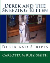 bokomslag Derek and The Sneezing Kitten