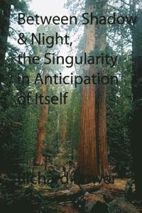 Between Shadow and Night, The Singularity in Anticipation of Itself 1