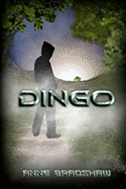 Dingo 1