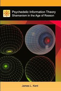 bokomslag Psychedelic Information Theory: Shamanism in the Age of Reason