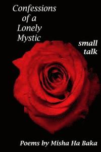 bokomslag Confessions of a Lonely Mystic Small Talk