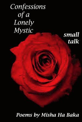bokomslag Confessions of a Lonely Mystic Small Talk
