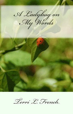 A Ladybug on my Words 1