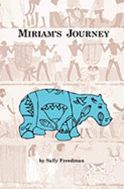 bokomslag Miriam's Journey