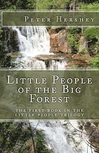 bokomslag Little People of the Big Forest