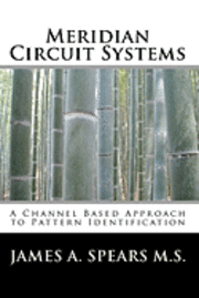 bokomslag Meridian Circuit Systems: A Channel Based Approach to Pattern Identification