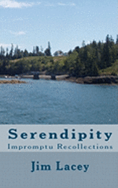 bokomslag Serendipity: Impromptu Recollections