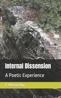 bokomslag Internal Dissension