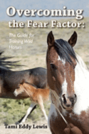 Tami Lewis - Overcoming The Fear Factor, Häftad