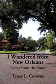 bokomslag I Wandered From New Orleans: Poems from the South