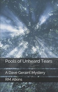 bokomslag Pools of Unheard Tears