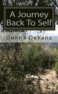bokomslag A Journey Back To Self: Lessons for Healing