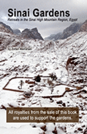 bokomslag Sinai Gardens: retreats in the Sinai High Mountains