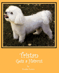 bokomslag Tristan Gets a Haircut: A Tristan and Trudee Story