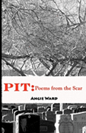bokomslag Pit: Poems from the Scar
