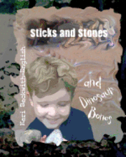 bokomslag Sticks and Stones and Dinosaur Bones