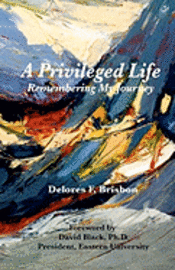 bokomslag A Privileged Life: Remembering My Journey