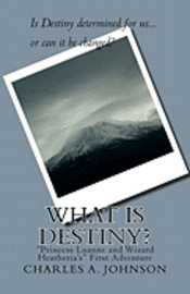 bokomslag What Is Destiny?: 'princess Luanne and Wizard Heatheria's' First Adventure